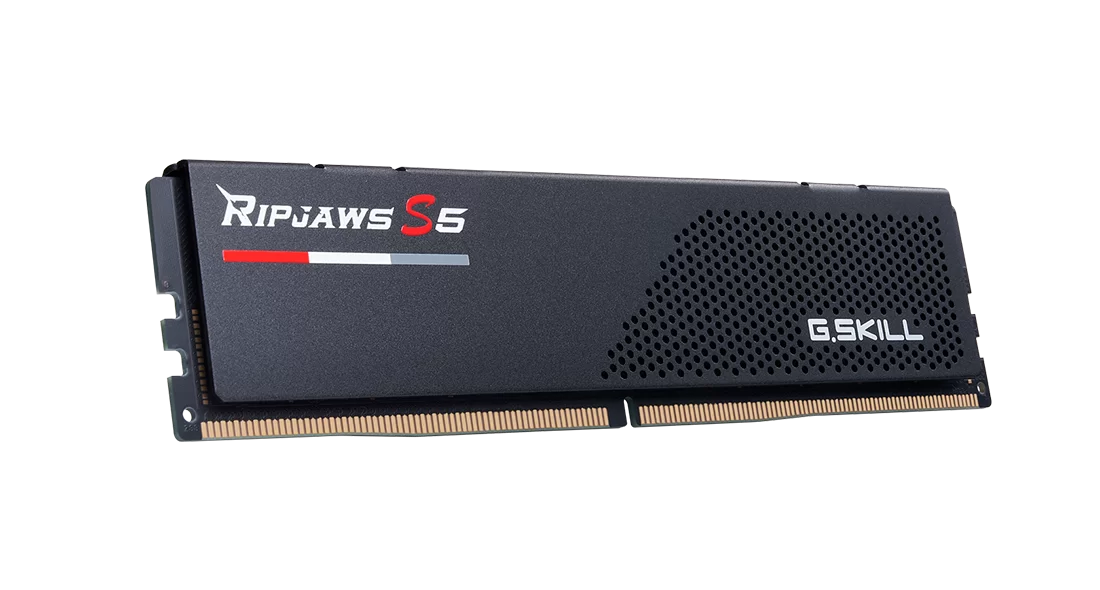 GSKILL 16GB Ripjaws S5 DDR5 6000Mhz CL36